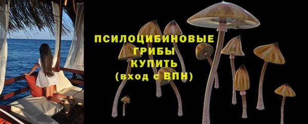 а пвп мука Козельск