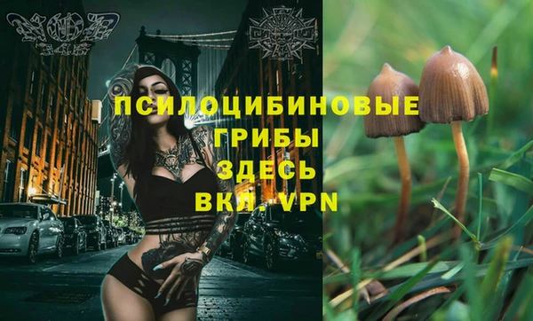 ECSTASY Козловка