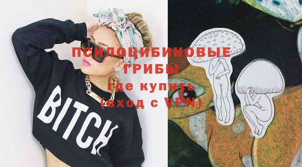 дурь Кодинск