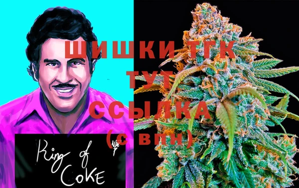 ECSTASY Козловка