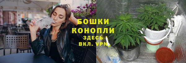 ECSTASY Козловка