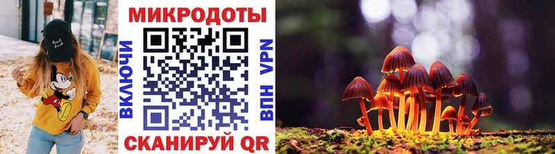Купить где  Томмот  Галлюциногенные грибы Psilocybine cubensis 